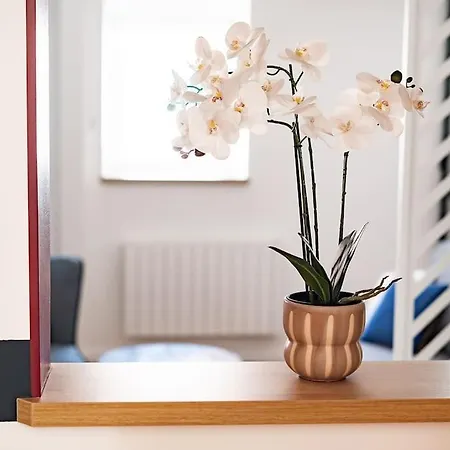 Appartement #l'evasion - Charme & Modernite Mulhouse
